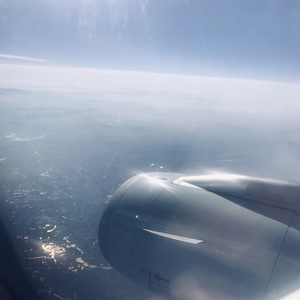 寡妇做爰XXX视频
