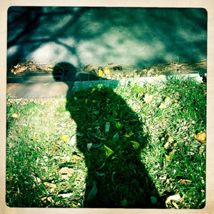 寡妇做爰XXX视频
